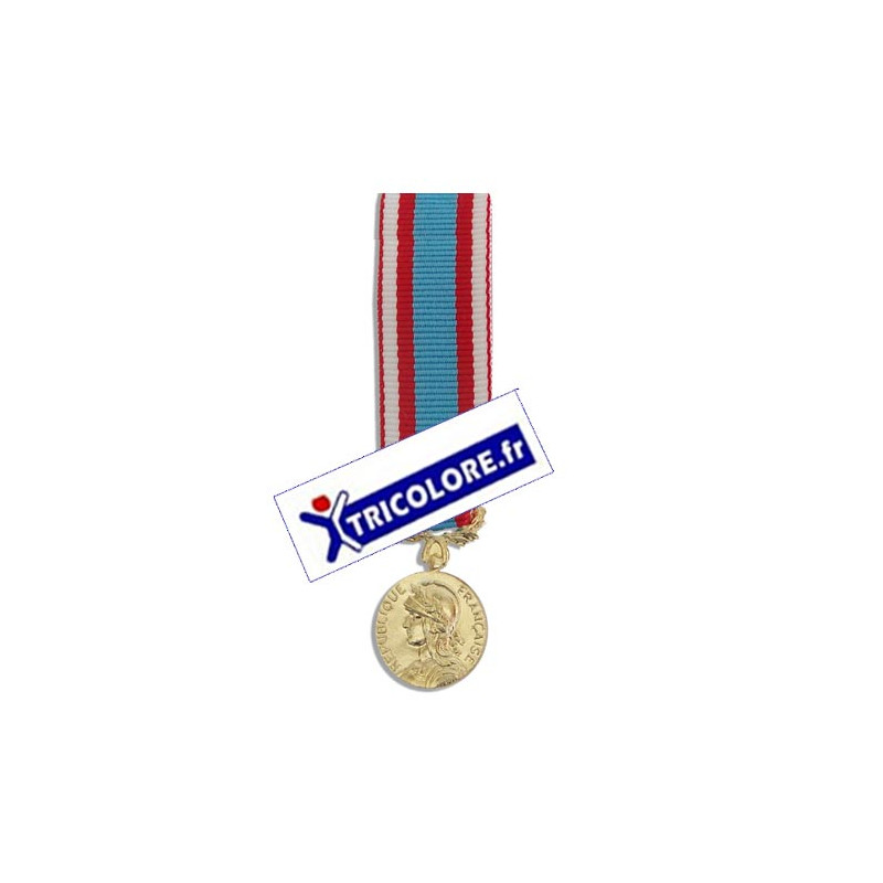 Médaille réduction Commémorative Afn