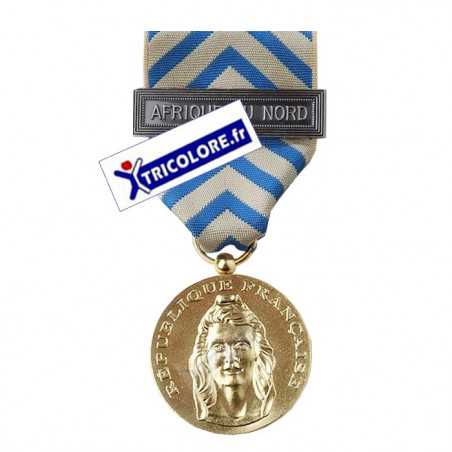 Médaille ordonnance Reconnaissance de la Nation - Agrafe Afrique du Nord