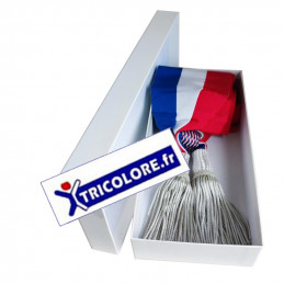 Echarpe de MAIRE-ADJOINT Officielle Luxe Avec Boîte