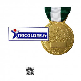 Médaille 30 ans d'ancienneté Régionale Départementale Communale verso