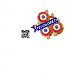 Pack de 4 pins boutonnière CONSEIL MUNICIPAL