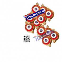 Pack de 10 pins boutonnière CONSEIL MUNICIPAL