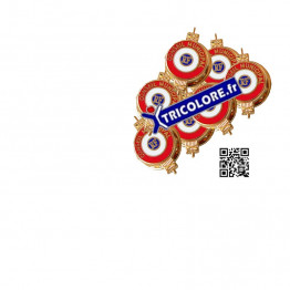 Pack de 7 pins boutonnière CONSEIL MUNICIPAL