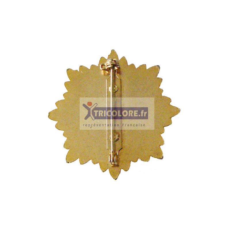 BG6985 - INSIGNE BADGE TRICOLORE - CONTROLEUR GENERAL