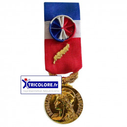 Médaille du Travail Or 35 ans d'ancienneté
