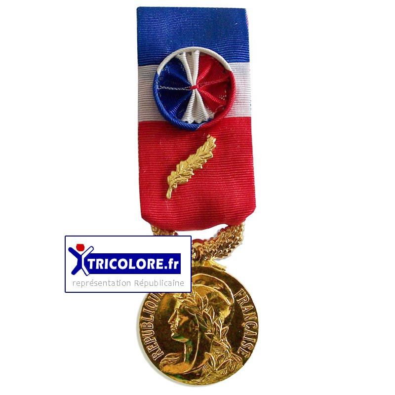 Médaille d'honneur du TRAVAIL 35 ans Médaille d'Or 