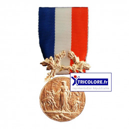 Médaille Courage et dévouement Vermeil